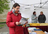 Den bez paměti Farní charity Beroun